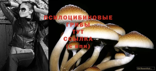 прущие крисы Армянск