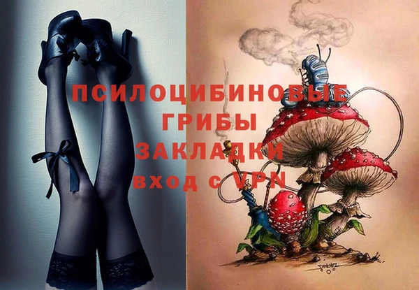 экстази Арсеньев