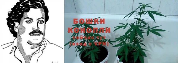 экстази Арсеньев
