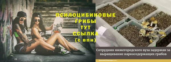 твердый Алексин