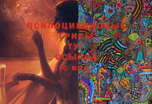 прущие крисы Армянск