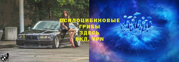 экстази Арсеньев