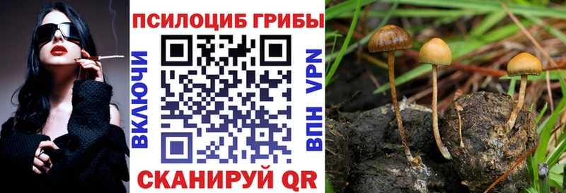 Купить где  Волоколамск  Галлюциногенные грибы ЛСД 